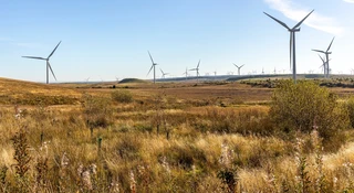 Tego problemu świat wcześniej nie znał. Nadchodzą susze wiatrowe