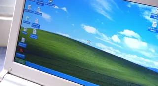 windows xp tapeta
