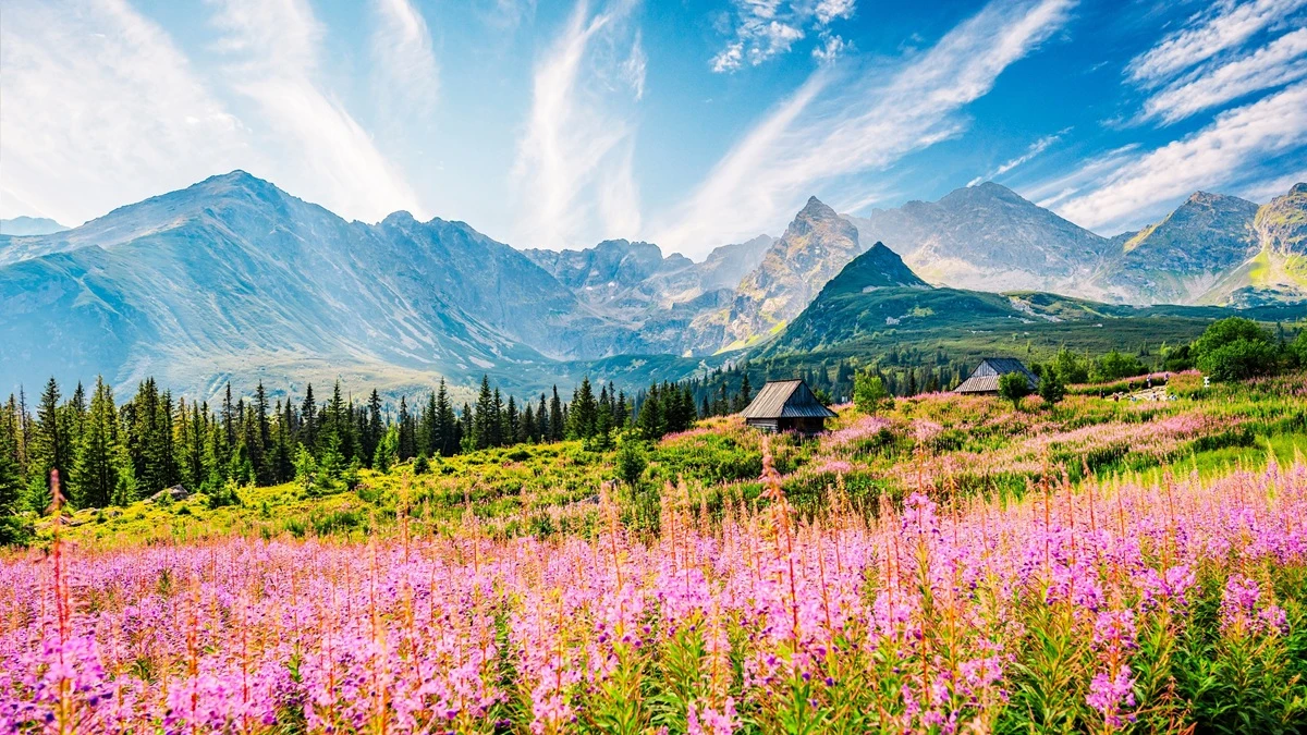 zakopane