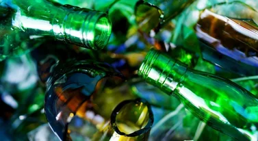 Zrobili wyspę ze starego szkła. Coś zaczęło na niej rosnąć