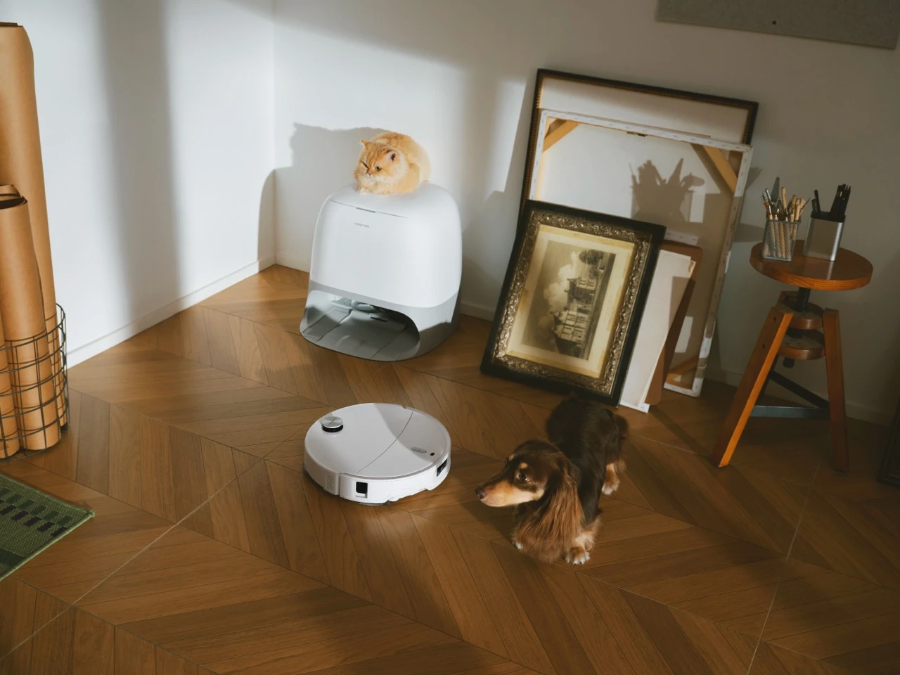 https://cdn-sw.spidersweb.pl/2025/09/roborock-qrevo-curv-2-pro-32.jpeg