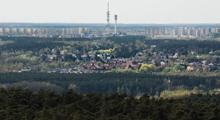wieza