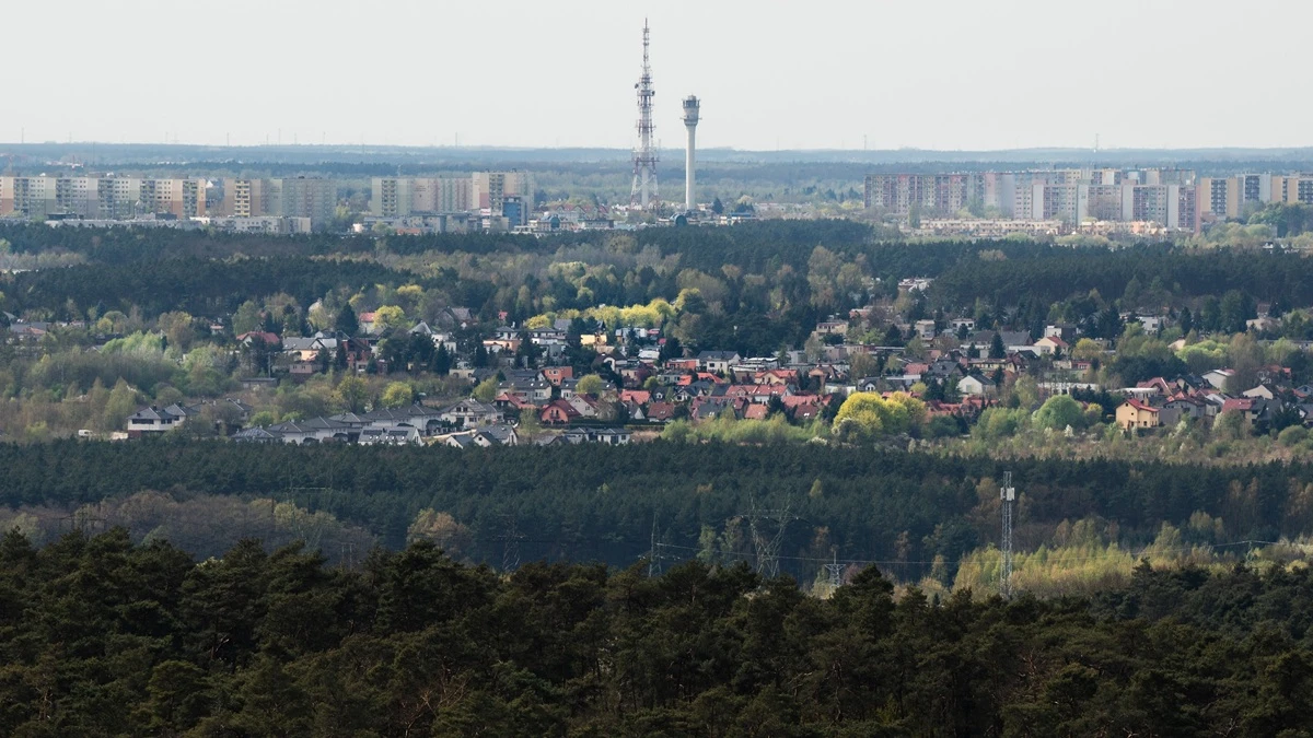 wieza