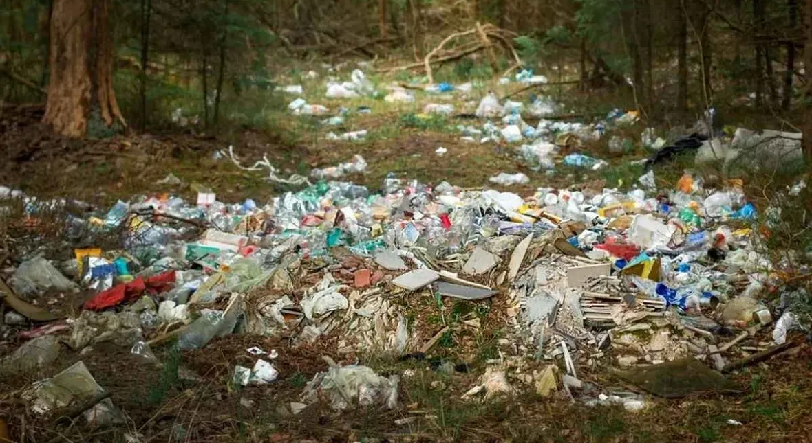 Image for Dzikie wysypiska znikną z mapy Polski. 300 mln zł na walkę z ekologicznymi bombami