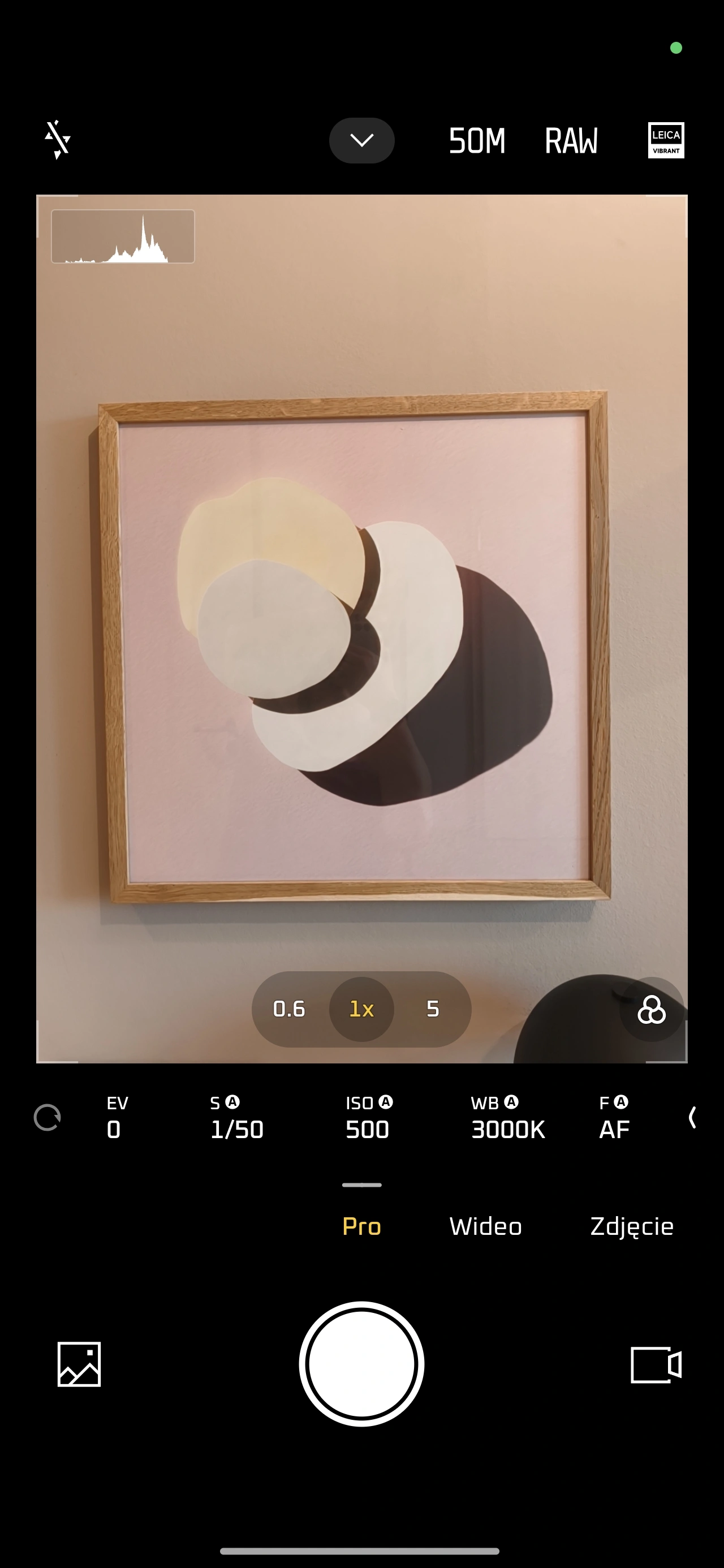 Xiaomi 15T Pro - tryb Pro (foto)