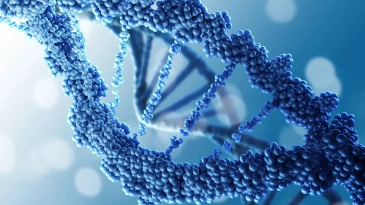 Genom z czasów neandertalczyków odnaleziony