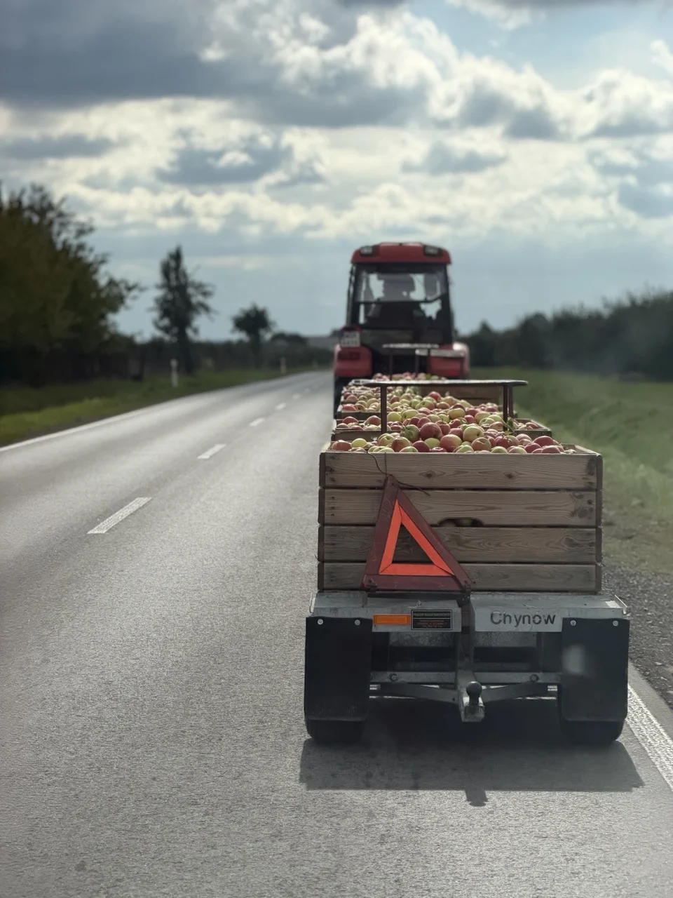 W drodze na święto jabłka