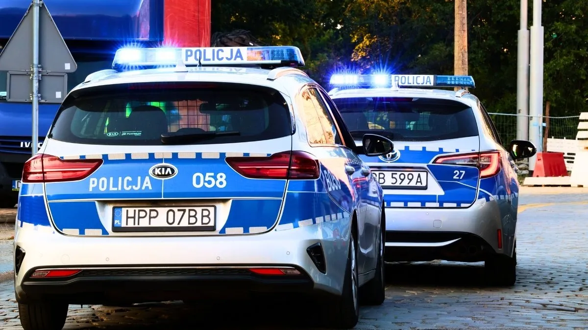 3 tys. aut czeka na rejestrację. Rządowy system zawiódł