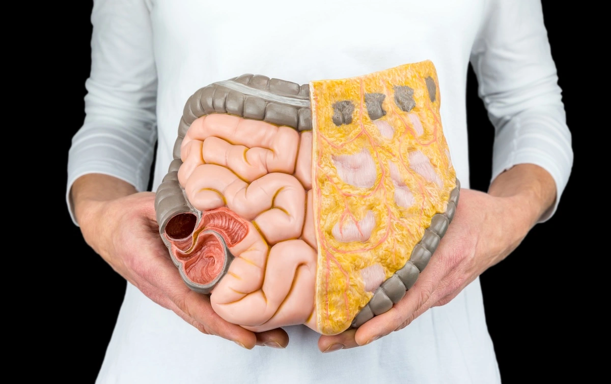 Polska tworzy sztuczne jelita. Chcemy odwzorować biologię 1 do 1