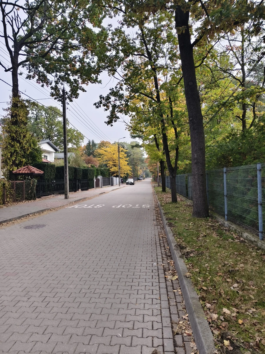 Zdjęcie wykonane za pomocą Vivo V60 Lite 5G (pochmurny dzień, obiektyw 1x)