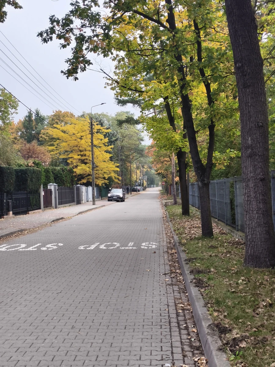 Zdjęcie wykonane za pomocą Vivo V60 Lite 5G (pochmurny dzień, obiektyw 2x)