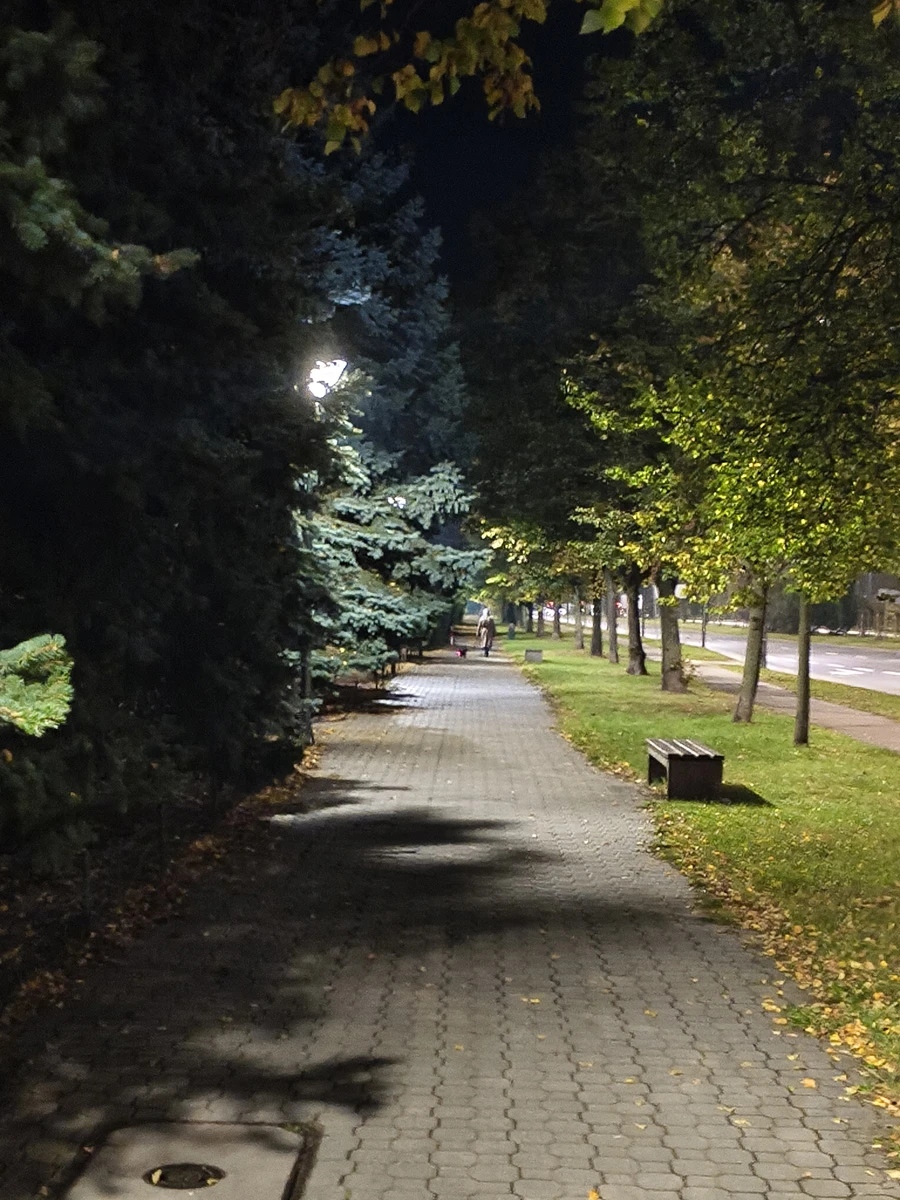 Zdjęcie wykonane za pomocą Vivo V60 Lite 5G (noc, obiektyw 2x)