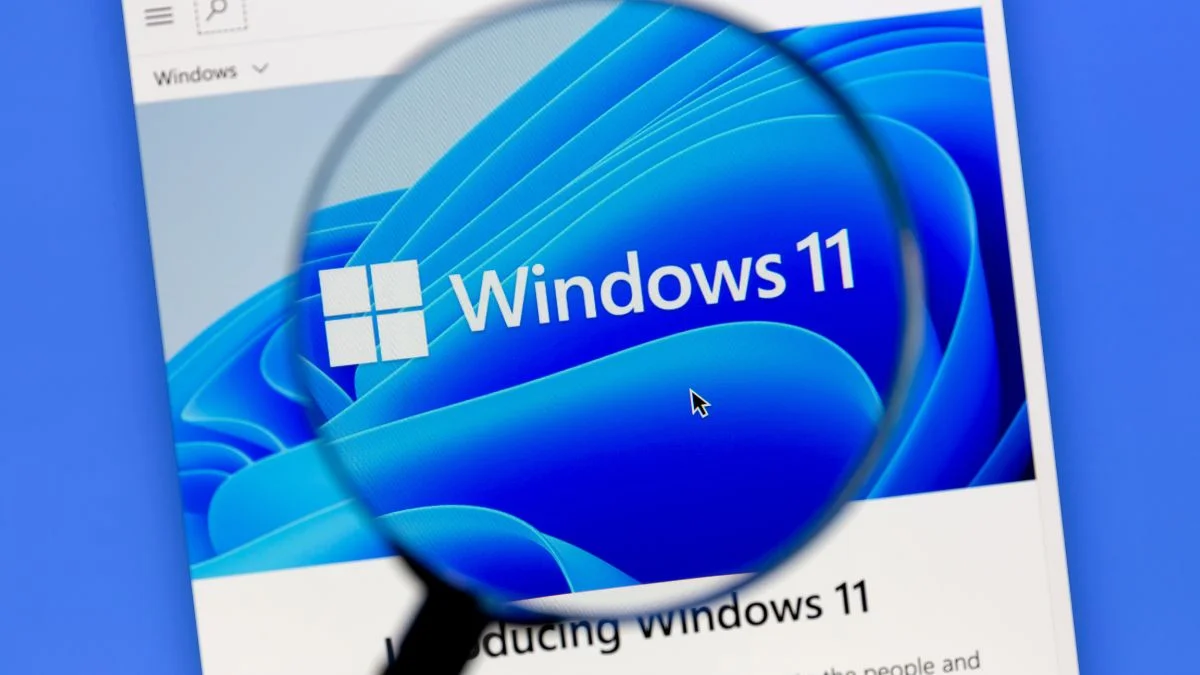 Windows 11 wyszukiwanie