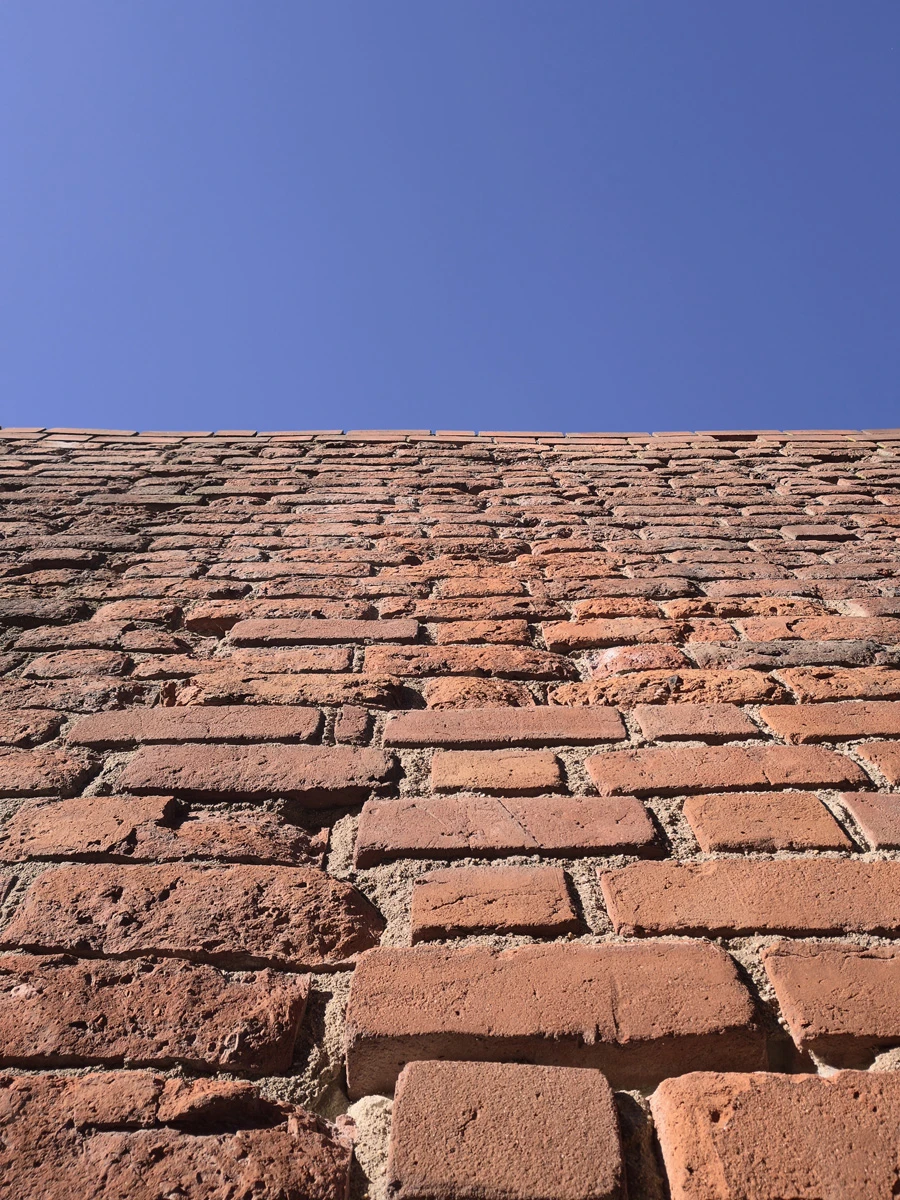 Zdjęcie wykonane za pomocą Realme GT 8 Pro