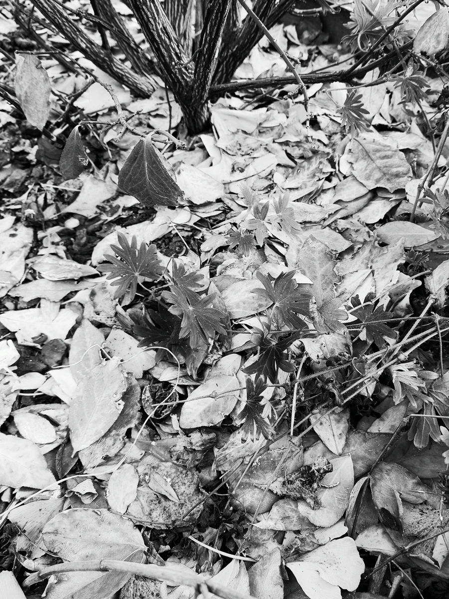 Zdjęcie wykonane za pomocą Realme GT 8 Pro