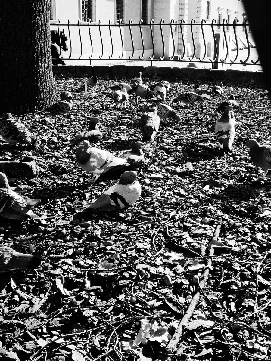 Zdjęcie wykonane za pomocą Realme GT 8 Pro