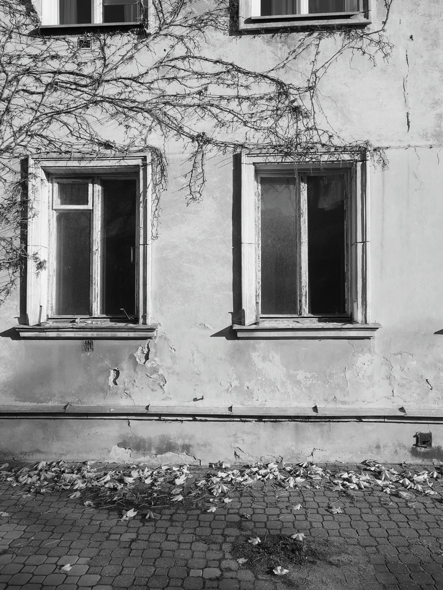 Zdjęcie wykonane za pomocą Realme GT 8 Pro