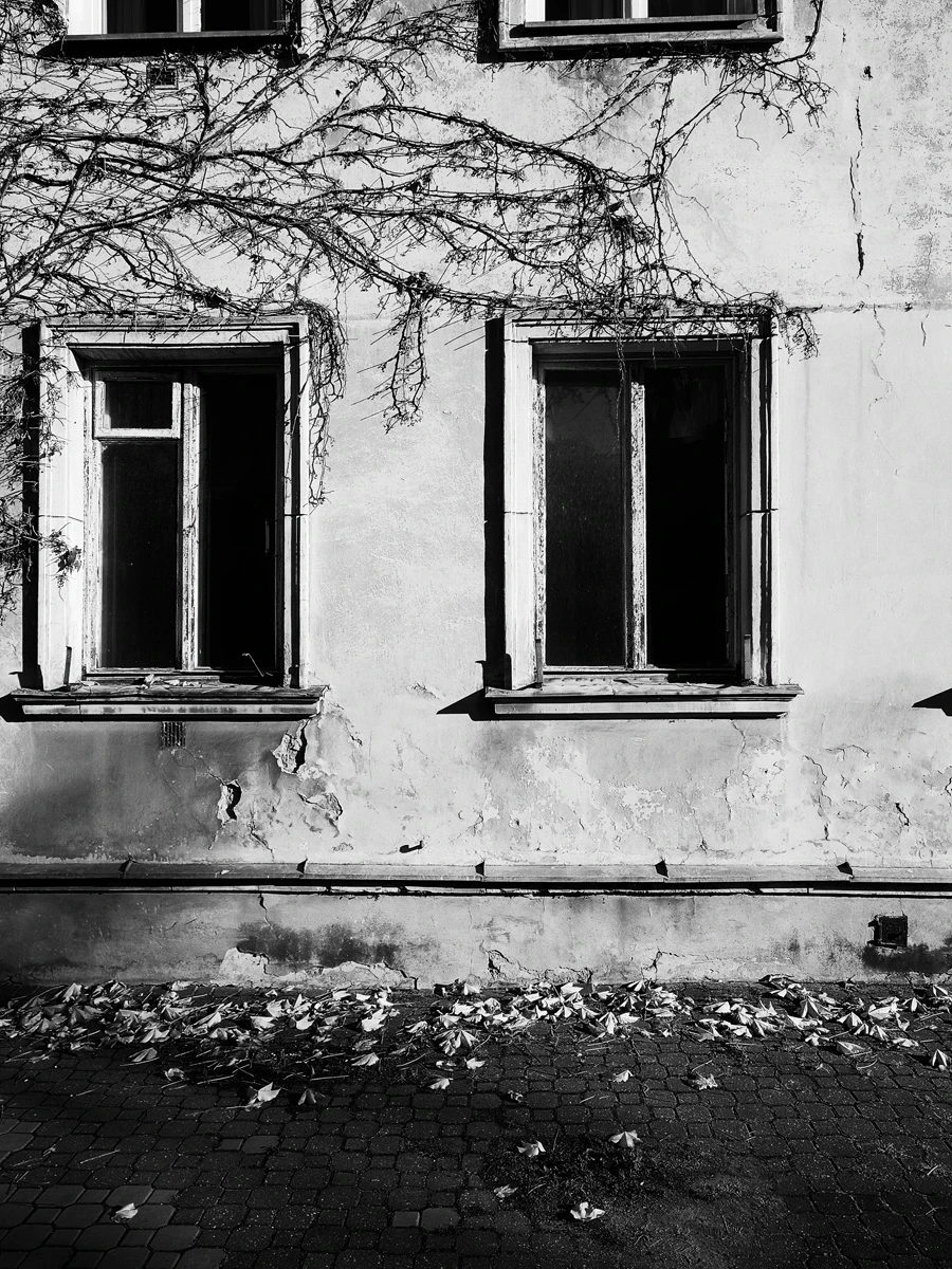 Zdjęcie wykonane za pomocą Realme GT 8 Pro