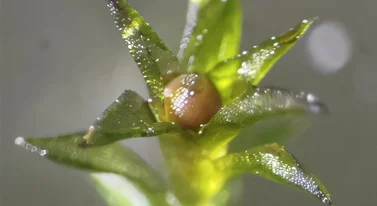 Przetrwały 9 miesięcy w kosmicznej pustce. Wyniki szokują