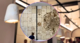 Zamiast plastiku grzybnia. Tak Belgowie walczą z odpadami