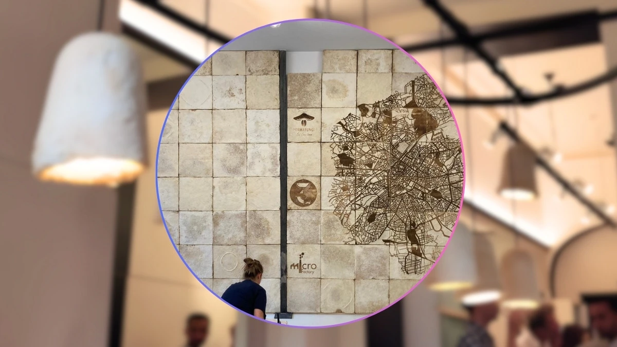 Zamiast plastiku grzybnia. Tak Belgowie walczą z odpadami