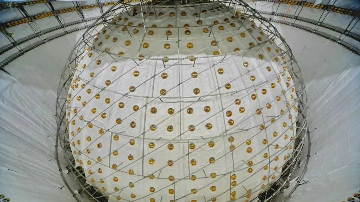 Kula zanurzona w ciemności widzi to, czego nie widzimy