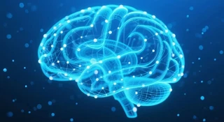 Grali w Ponga ludzkimi neuronami. To dopiero początek