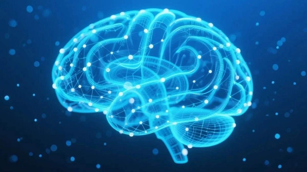 Grali w Ponga ludzkimi neuronami. To dopiero początek