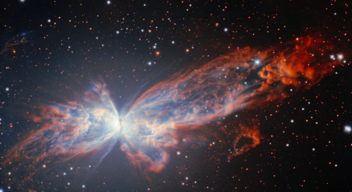 Image for Kosmiczny motyl jak żywy. Nowe zdjęcie wbija w fotel