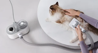 Gigantyczne obniżki na sprzęt do pielęgnacji zwierząt. Sam biegnę na zakupy