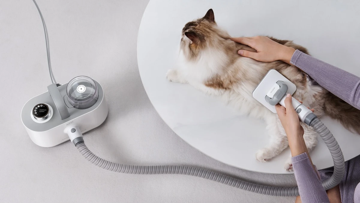 Gigantyczne obniżki na sprzęt do pielęgnacji zwierząt. Sam biegnę na zakupy