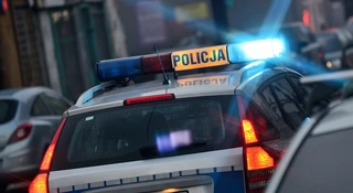 policja