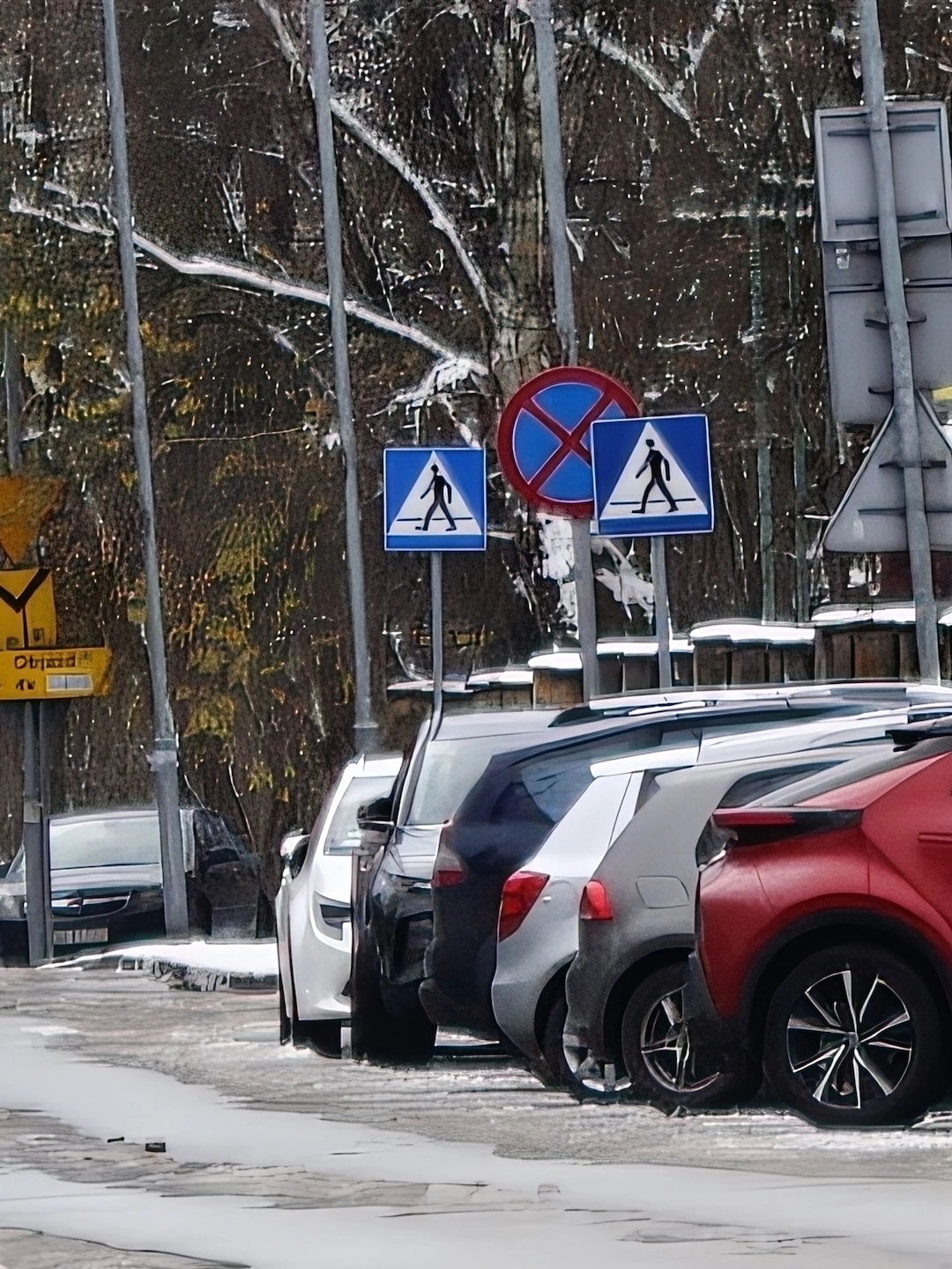 x40, zdjęcie z powiększeniem, obiektyw telefoto