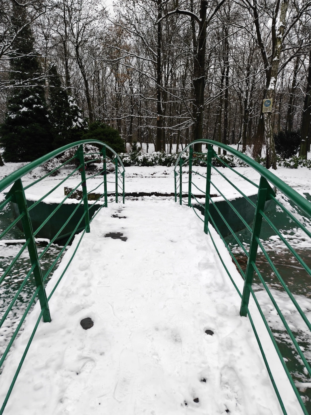 x1, główny obiektyw, domyślny tryb