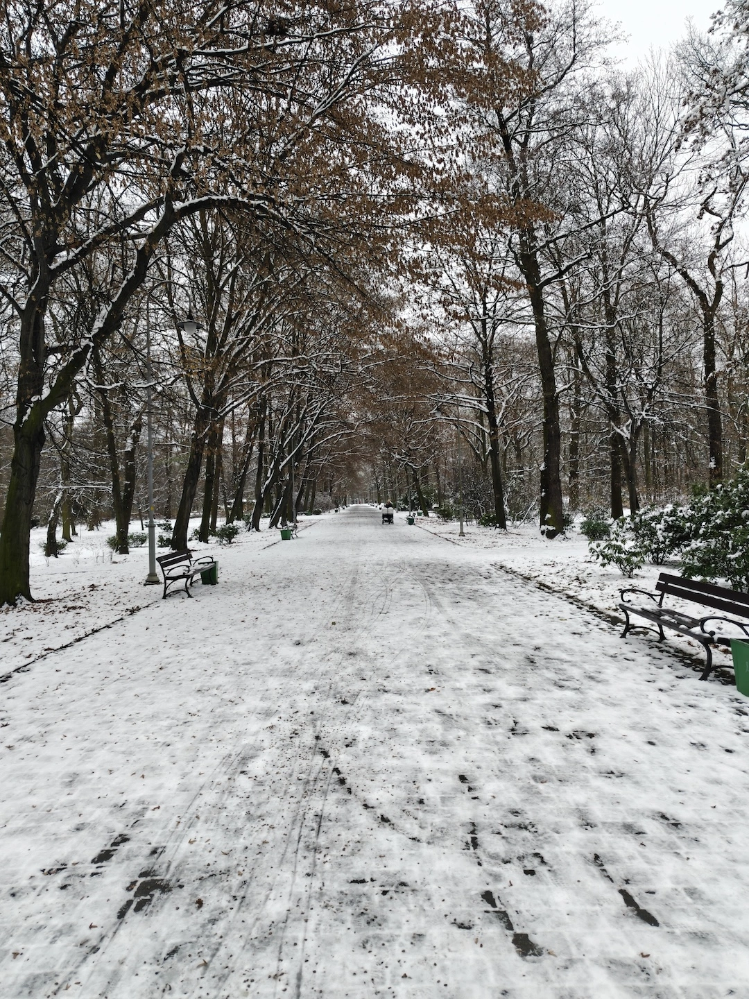 x1, główny obiektyw, domyślny tryb