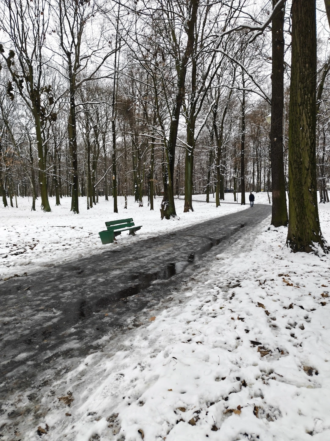 x1, główny obiektyw, domyślny tryb