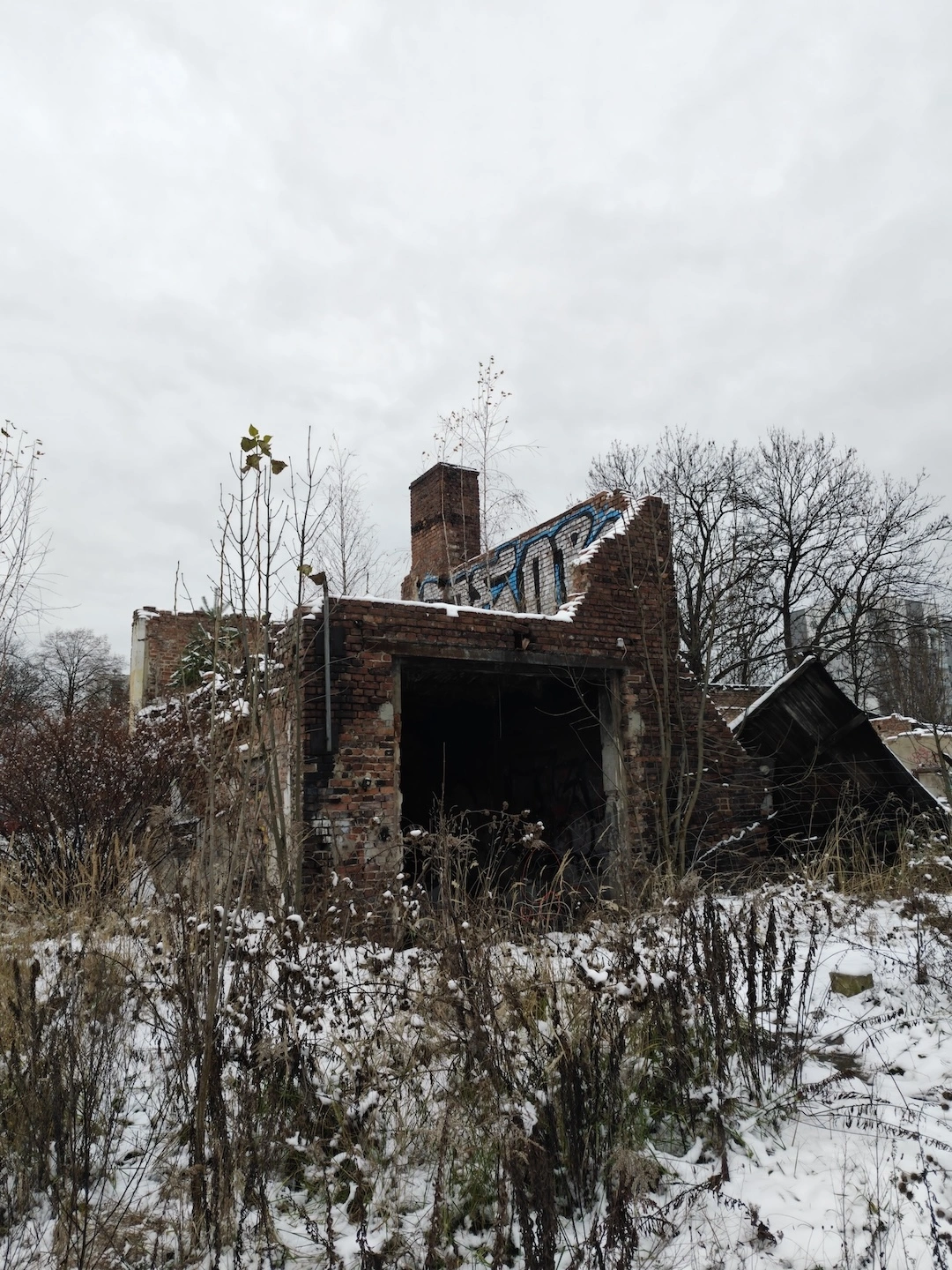 x1, główny obiektyw, domyślny tryb