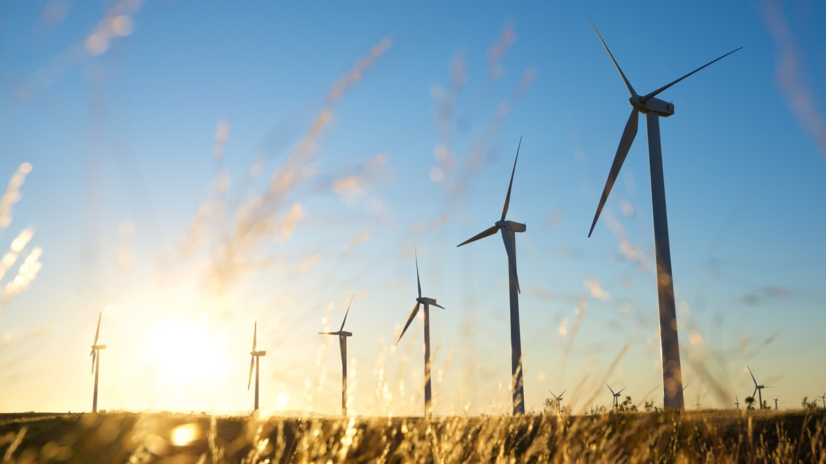 Jeden wiatrak może zabić 11 istnień. Chcą to wreszcie zmienić