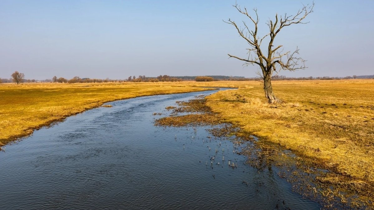 ONZ: planeta zbliża się do punktu krytycznego. „Mamy dekadę”