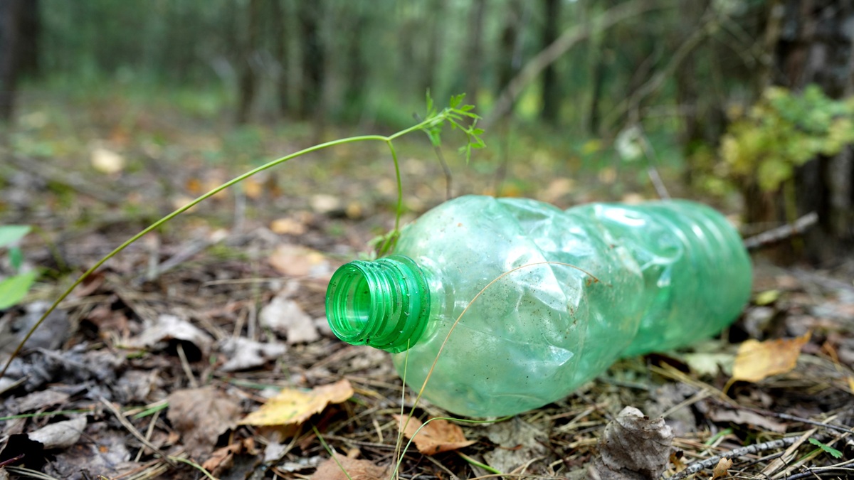 System kaucyjny to wielkie rozczarowanie. Co z tym krajem jest nie tak?