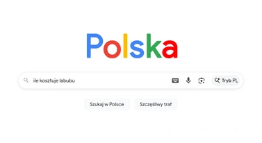 Google zajrzał do zbiorowej świadomości Polaków. Cudowny chaos