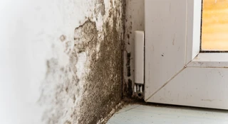 Elektroniczny nos do wykrywnia pleśni