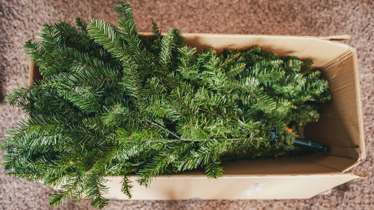 Telewizja prosi, by kupić sztuczną choinkę. "Dla dobra AI"