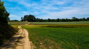 Miastowi wyprowadzili się na wieś i mącą. Nie chcą masztu