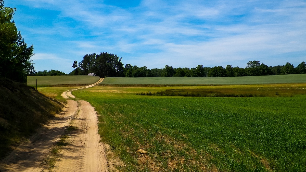 Miastowi wyprowadzili się na wieś i mącą. Nie chcą masztu