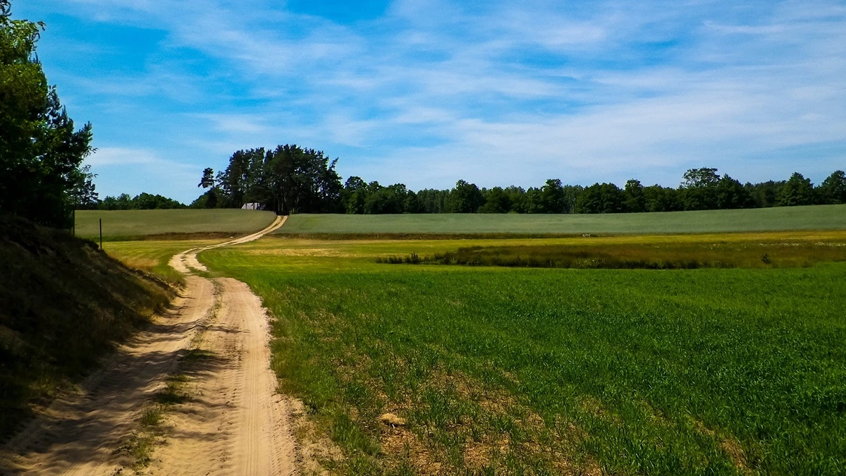 miastowi kontra wies