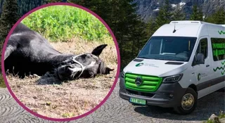 E-busy do Morskiego Oka za 3,7 mln zł. NIK stawia zarzuty