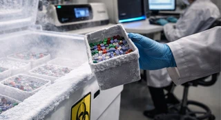 Rakieta może milczeć, ale mikrobiom nie kłamie