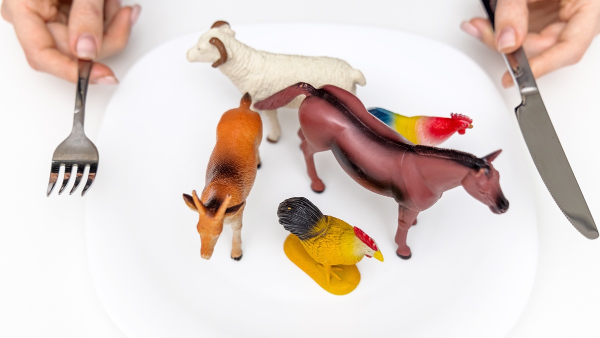 Niewinny żart kolei wywołał wojnę. Ludzie, dajcie spokój