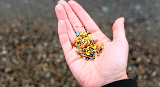 Mikroplastik nie znika. Zapisuje się w plemnikach i wraca w dzieciach